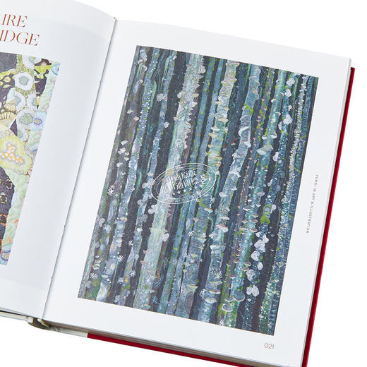 【中商原版】Fungal Inspiration 进口艺术 由菌子触发的灵感：受野生自然启发的艺术和设计 Victionary 商品图3