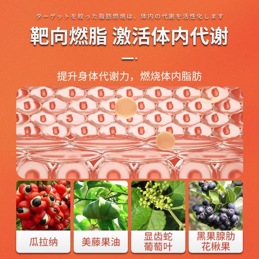 【养护肠胃！两瓶立减20元】日本原装进囗，200亿益生精粹，平衡箘群 修护肠道 排毐抗箘，控制消化“刚刚好”！减少热量摄入、排便稳定、抗糖抗油脂、消除顽固脂肪 商品图8