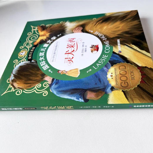 国际大奖儿童文学美绘注音版灵犬莱西 商品图2