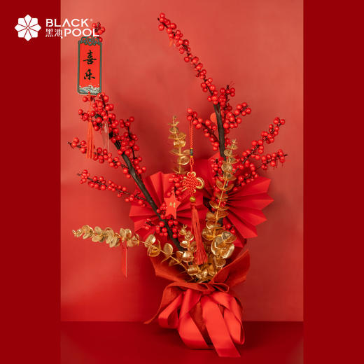 （限深圳，18号起送）【恭喜花财·冬青】2023财源滚滚，为家增添一份喜庆年味 商品图0