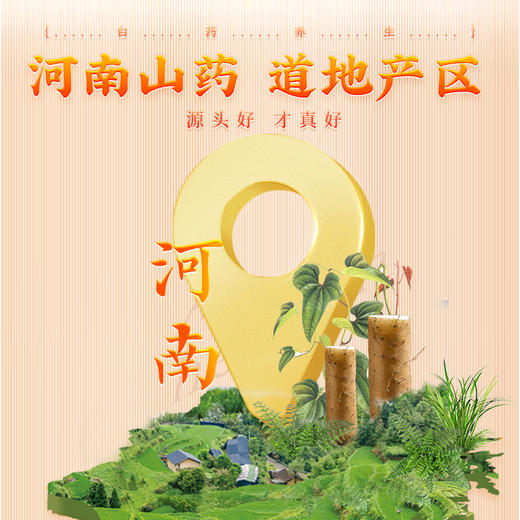 【官方正品】云南白药养生山药粉150g纯山药打细粉滋补泡水好吸收搭配茯苓山楂 商品图2