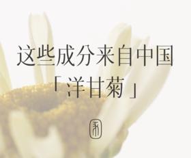 疗愈敏弱的温柔力量