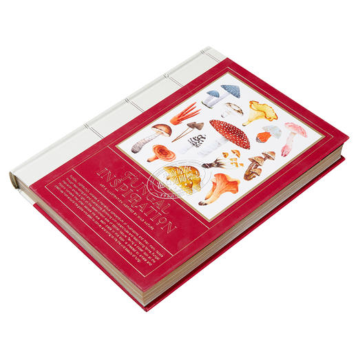 【中商原版】Fungal Inspiration 进口艺术 由菌子触发的灵感：受野生自然启发的艺术和设计 Victionary 商品图2