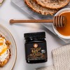 史低价！Manuka Doctor 625 MGO麦卢卡蜂蜜500克 新春大促￥398直邮到手 商品缩略图2