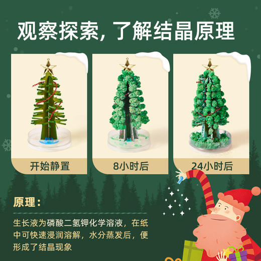 mideer弥鹿魔法圣诞树纸树开花水晶种植儿童玩具科学实验圣诞节装饰礼物 商品图3