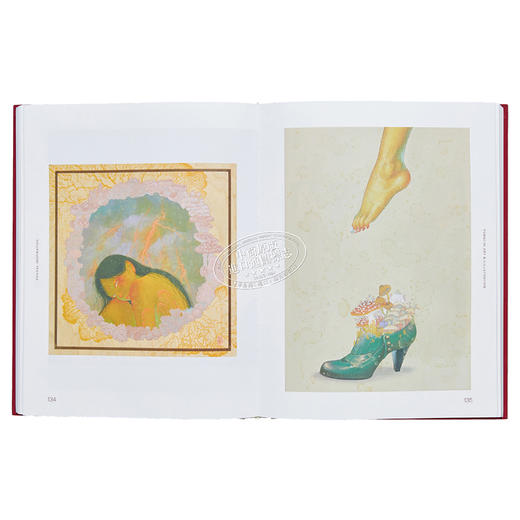 【中商原版】Fungal Inspiration 进口艺术 由菌子触发的灵感：受野生自然启发的艺术和设计 Victionary 商品图6