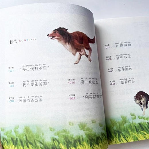 国际大奖儿童文学美绘注音版灵犬莱西 商品图6