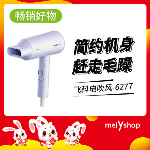 飞科电吹风6277 紫色     2208150 商品图0