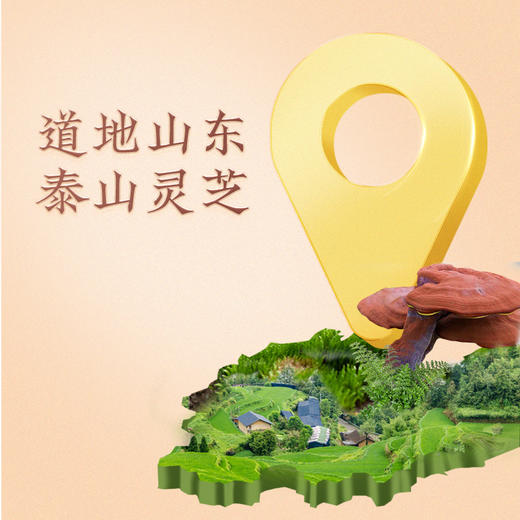 【官方正品】云南白药养之素利华御草牌破壁灵芝孢子油软胶囊0.4g/粒*20粒*3瓶增强免疫力高端送礼 商品图3