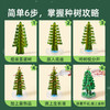 mideer弥鹿魔法圣诞树纸树开花水晶种植儿童玩具科学实验圣诞节装饰礼物 商品缩略图2