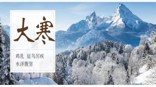 会员服务：0130周一早申动力 商品图0