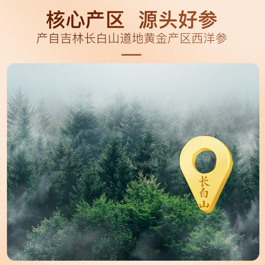 【官方正品】云南白药有这一方西洋参片大片吉林原产地三年足龄西洋参含片滋补泡水含服搭配枸杞黄芪党参 商品图2