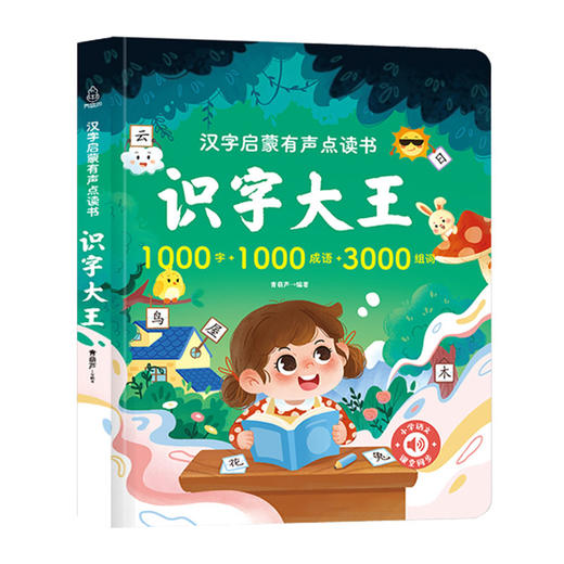 识字大王 汉字启蒙有声点读书 3岁+ 幼儿园幼小衔接识字发声书 商品图0