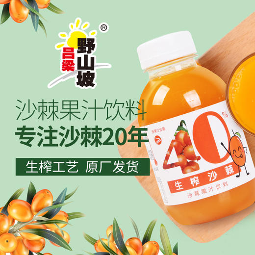 沙棘汁吕梁野山坡网红维C饮料325ml瓶装山西特产果 商品图2