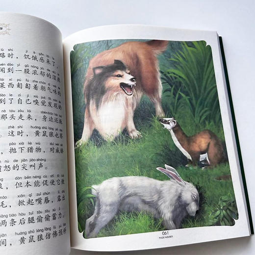 国际大奖儿童文学美绘注音版灵犬莱西 商品图5