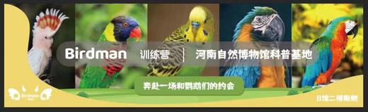 河南自博 | 河南自然博物馆科普基地——Birdman训练营 商品图0