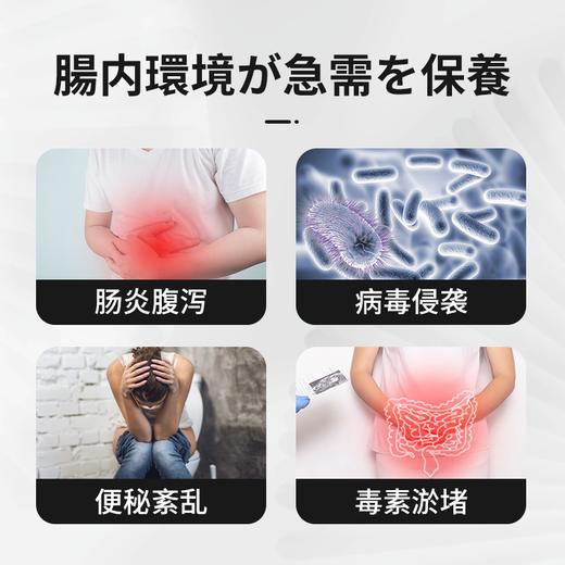 【养护肠胃！两瓶立减20元】日本原装进囗，200亿益生精粹，平衡箘群 修护肠道 排毐抗箘，控制消化“刚刚好”！减少热量摄入、排便稳定、抗糖抗油脂、消除顽固脂肪 商品图1