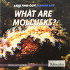 什么是软体动物 英文原版 What Are Mollusks? 商品缩略图0