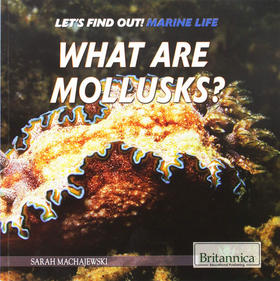 什么是软体动物 英文原版 What Are Mollusks?