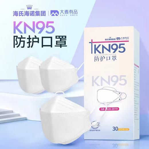 海氏海诺KN95柳叶防护口罩 商品图0