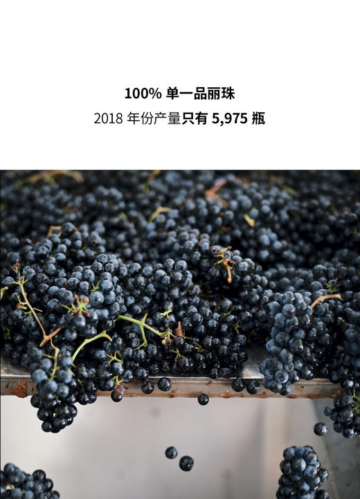 车库酒公司无花果园品丽珠红葡萄酒 2018 Garage Wine Co. Las Higueras Vineyard Cabernet Franc 商品图1