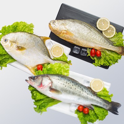 年年有鱼6条组合装（黄鱼3条鲳鱼3条）