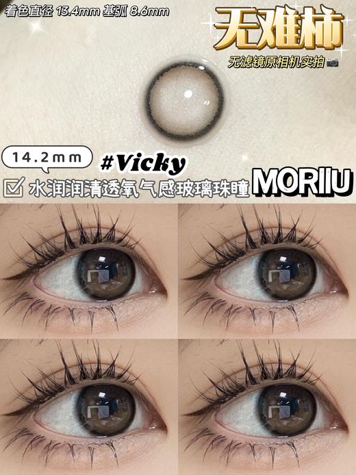 moriiu 年抛 无难柿 直径14.2mm着色13.4mm 商品图14