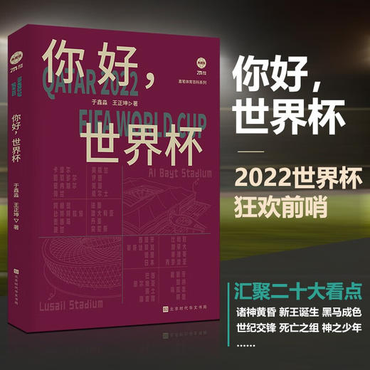 你好,世界杯 商品图0