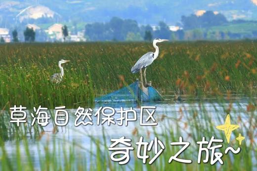 贵地博 |【草海自然保护区奇妙之旅】——了解生物多样性的意义 商品图0