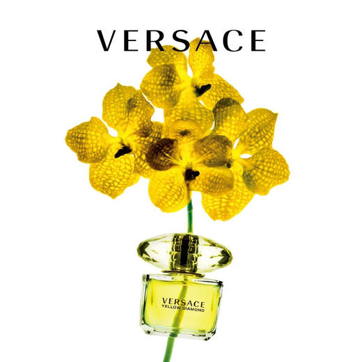 范思哲幻影金钻淡香水 50ml EDT 商品图2