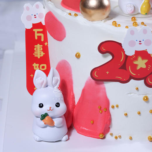 兔来运转 商品图3