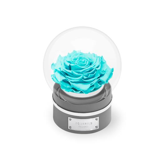 【音乐圆罩】ROSEONLY诺誓 永生玫瑰-音乐系列 悦慕马 十二星座音乐球玫瑰公仔 甜心兔熊猫公仔音乐球礼盒 送女友节日礼物 商品图9