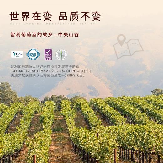 天鹅庄智利进口生肖红酒美乐干红葡萄酒1.5L礼盒装年货 兔年生肖纪念酒1.5L 商品图1