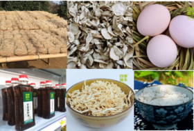 【菜叔福利秒】特产干货礼盒装，走亲访友很暖心哦~（限当天发出哦~）