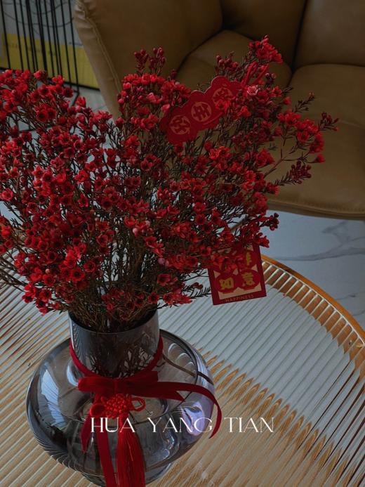 “梅”好新年· 腊梅瓶花 商品图1