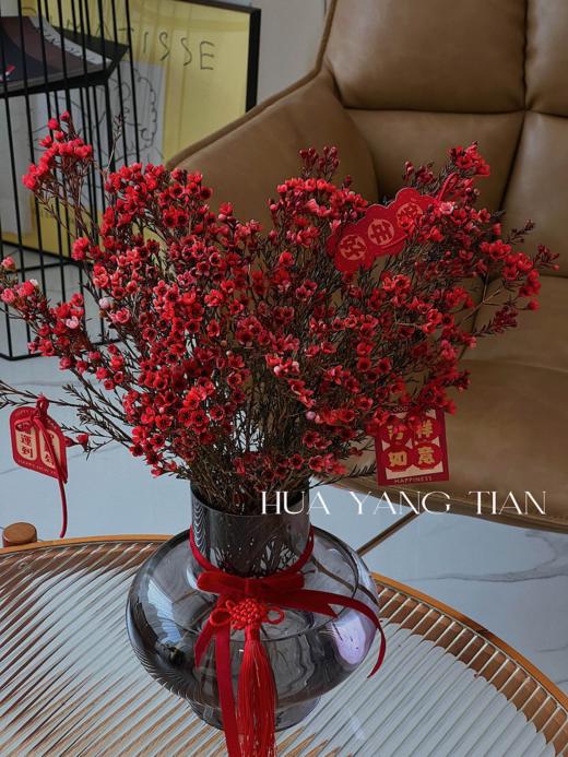 “梅”好新年· 腊梅瓶花 商品图0