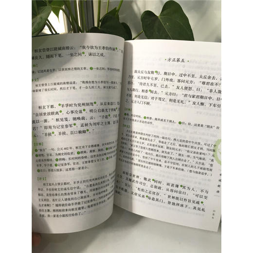 中华国学经典世说新语（九年级上册选读） 商品图3