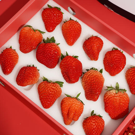 【新鲜水果】电车草莓 商品图0