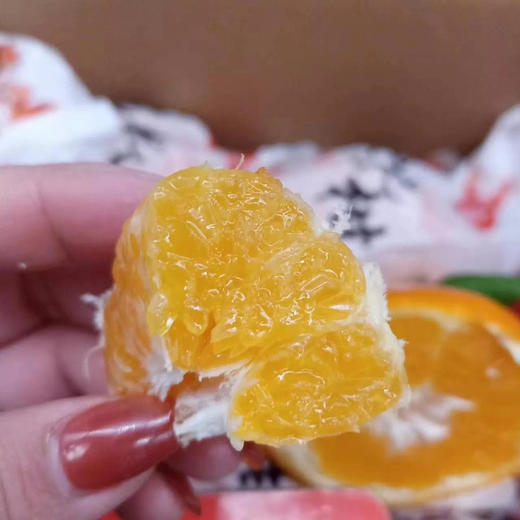 爆汁春见耙耙柑2.3公斤左右 商品图1