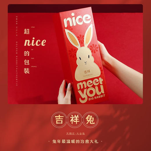 天鹅庄智利进口生肖红酒美乐干红葡萄酒1.5L礼盒装年货 兔年生肖纪念酒1.5L 商品图7