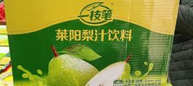 一枝笔 莱阳梨汁饮料 罐装310毫升×16罐