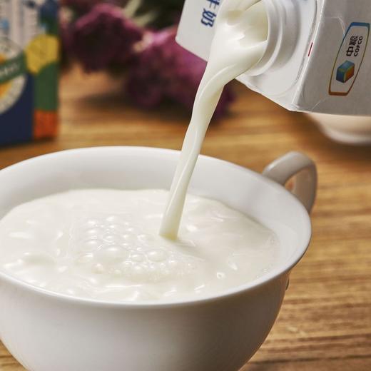 中粮上质牛奶礼盒（全脂）200ml*10 商品图1