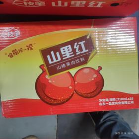 一枝笔 山里红 罐装310毫升×16罐