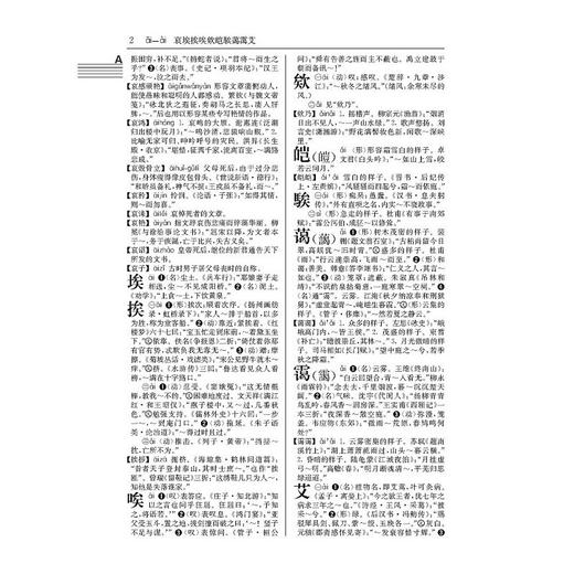 古代汉语词典(全新版) 商品图2