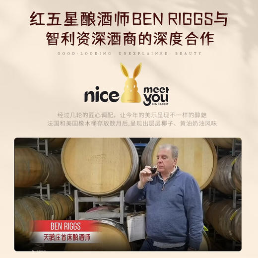 天鹅庄智利进口生肖红酒美乐干红葡萄酒1.5L礼盒装年货 兔年生肖纪念酒1.5L 商品图2