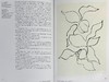 【中商原版】Matisse. Cut-outs 进口艺术 亨利·马蒂斯 剪裁 四十周年纪念版 艺术家剪纸作品集画册 Taschen 商品缩略图5
