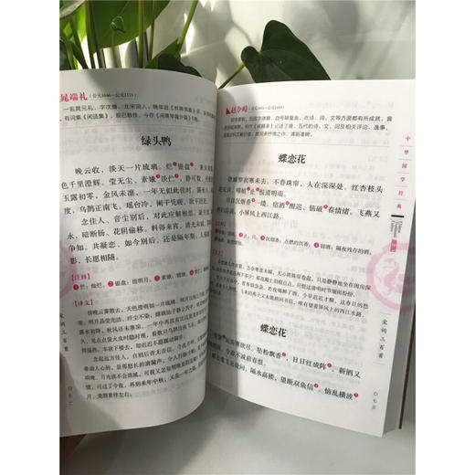 中华国学经典儒林外史（九年级下册必读） 商品图3