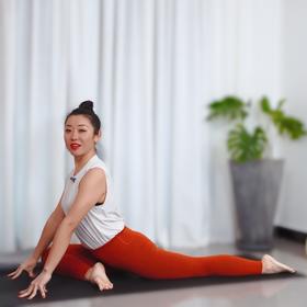 第六十六课：鸽子式