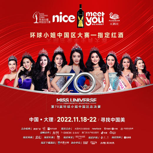 天鹅庄智利进口生肖红酒美乐干红葡萄酒1.5L礼盒装年货 兔年生肖纪念酒1.5L 商品图6