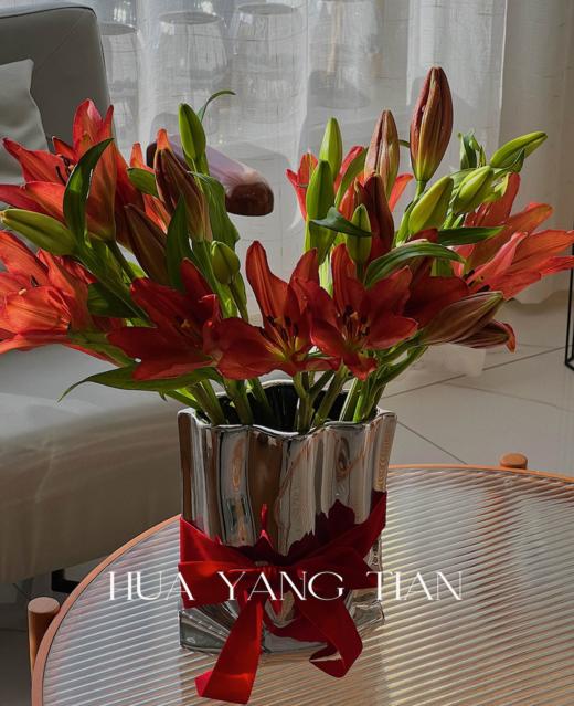 红宝石百合瓶  · 年宵花 商品图0